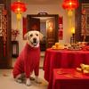 Extra Large High Neck Knitted Dog Sweater with Legs for Autumn/Winter (4XL-5XL)