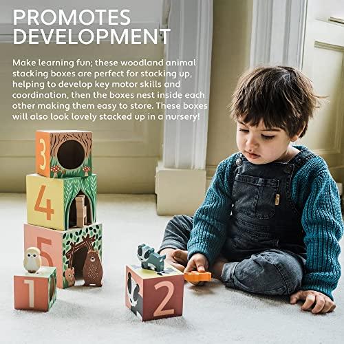 Orange Tree Toys Forest Animal Stacking Cube (18 Months and Up) TYORA12074