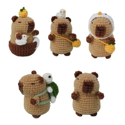 Crochet Keychain Set with Step-by-Step Instruction Beginner Crochet Set for Kid Adult Christmas Birthday Present