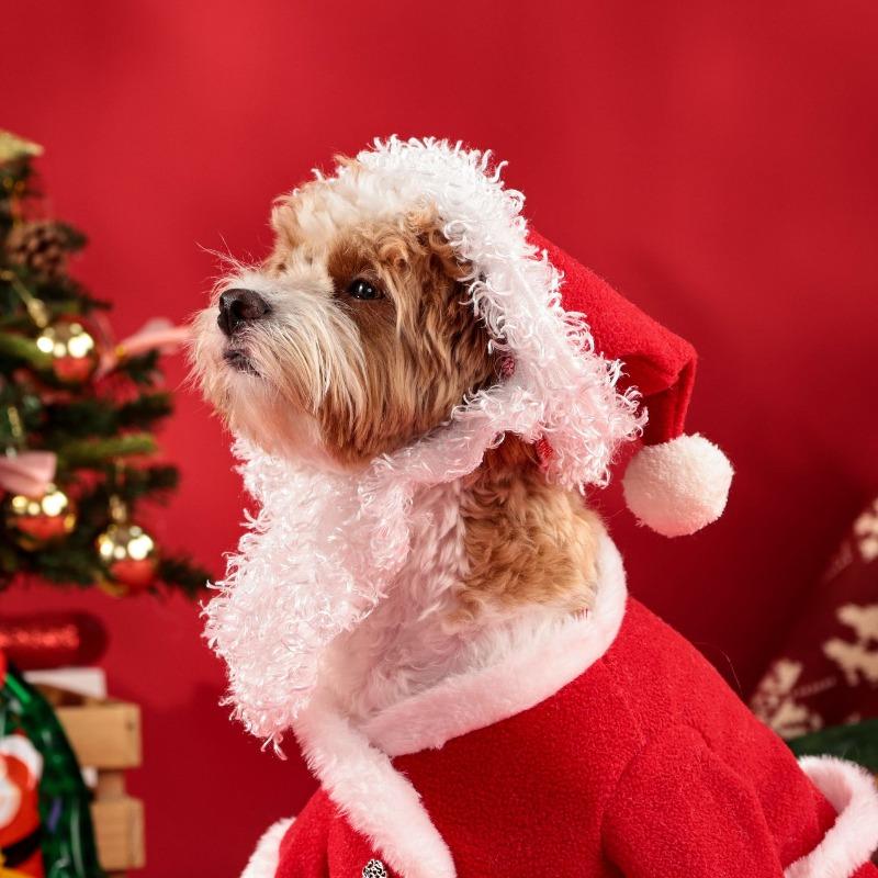 Christmas Pet Costume Santa Claus Hat Suit  Gold Velvet Fabric Funny Pet Cosplay Clothes Cute Puppy Christmas Outfit
