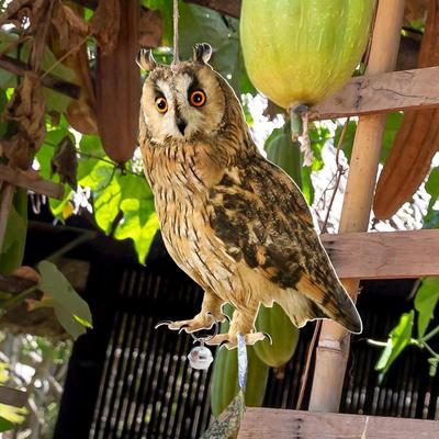 Fake Bird Repellent Waterproof Bird Repel Scare Devices Decoration Wind Chime Owl Scarecrow Bird Repeller with Bells Hanging