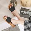 Slide for Women 2025 Home Indoor Footwear Summer Mesh Flat Fashion Shoes Women's Female Glitter Women Slippers Zapatillas Slides