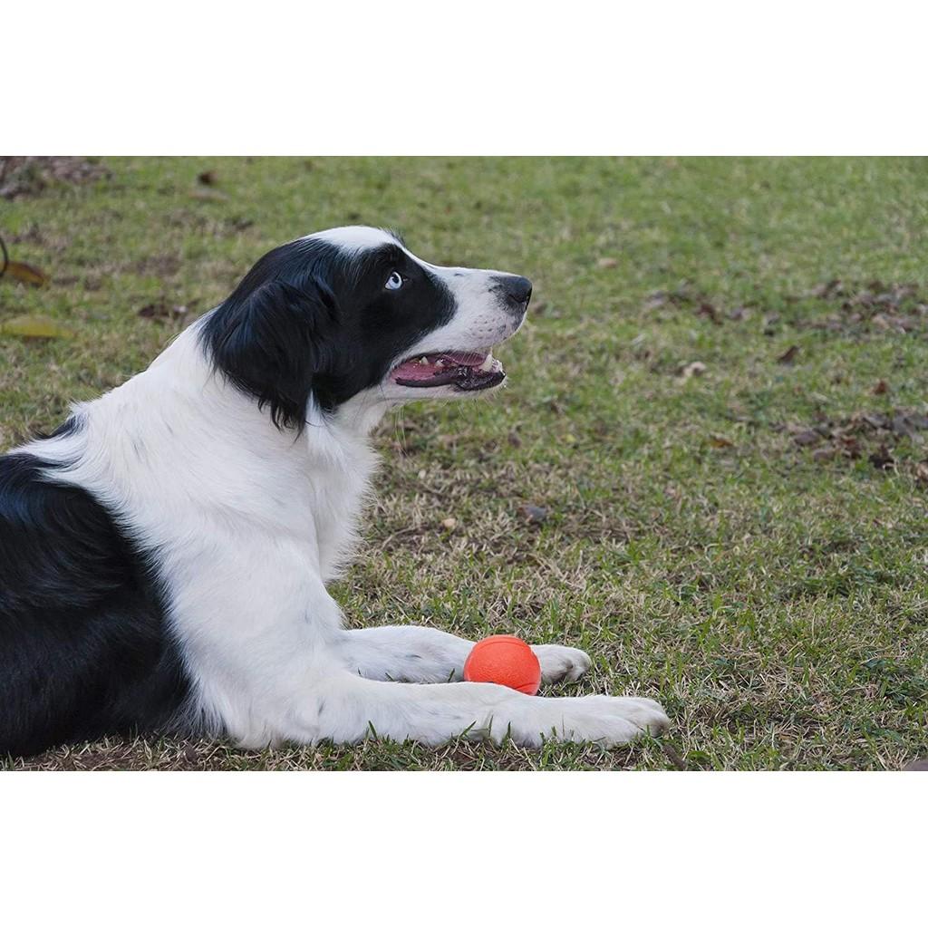 Ard Rubber Balls for Dogs,Dog's Solid Rubber Bouncy Ball Bite Resistant and Indestructible Dog Training Ball,Dog Balls for Aggressive Chewers