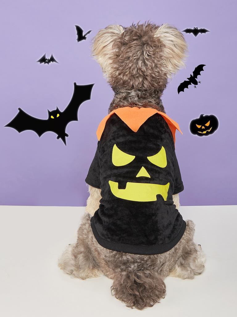 Halloween Pumpkin Dog Costume, Orange Pet Shirt with Green Collar, Festive Outfit for Small/Medium Dogs, Perfect for Halloween