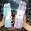 1PC Are You Kitten Me Light Cat 750ml Color Plastic Sports Water Bottle Leakproof Flip Straw Lid Suitable for Sports Office Home Use