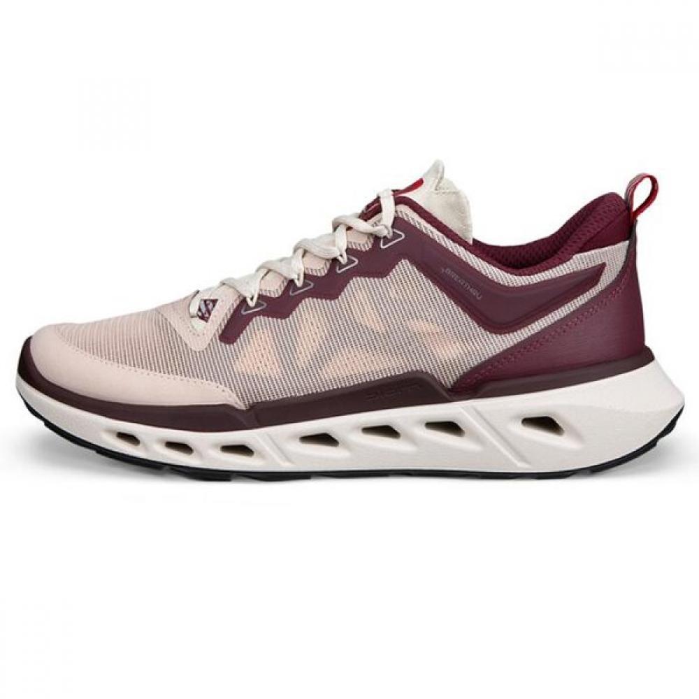 Eco Biome 720 850313 61794