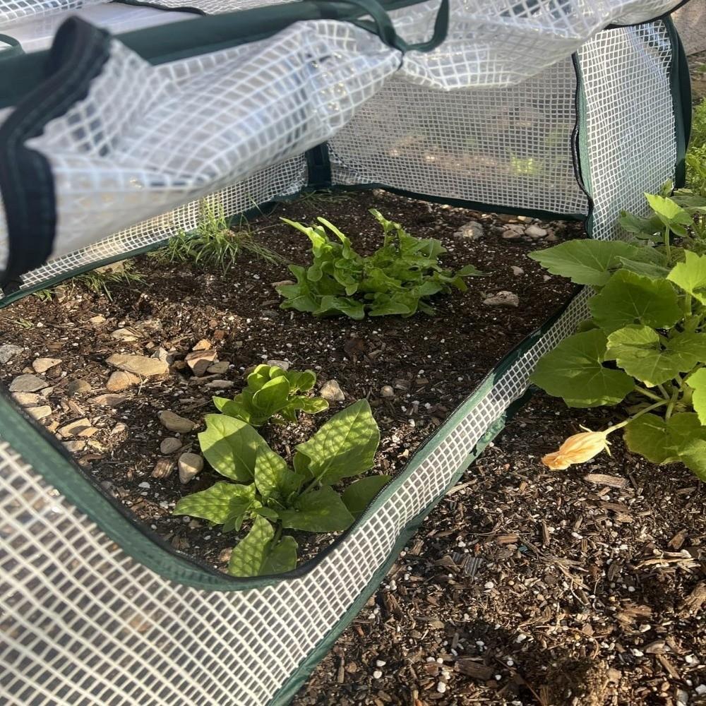 Housse de protection isolante pour plantes Filet pop-up pour plantes Cage protectrice transparente en PVC Lit de légumes