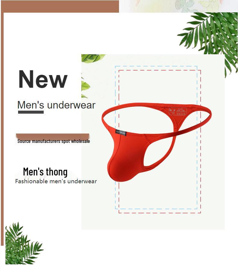 Herre Nylon Sexy Lav midje Tanga – Plussstørrelse tilgjengelig