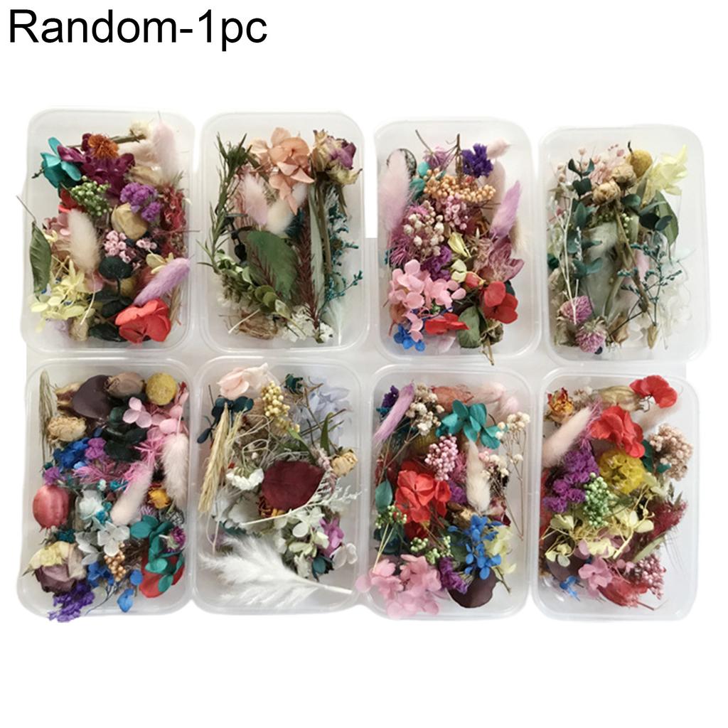 1 scatola di piante essiccate conservate, candele fai da te, creazione di gioielli, decorazioni artigianali