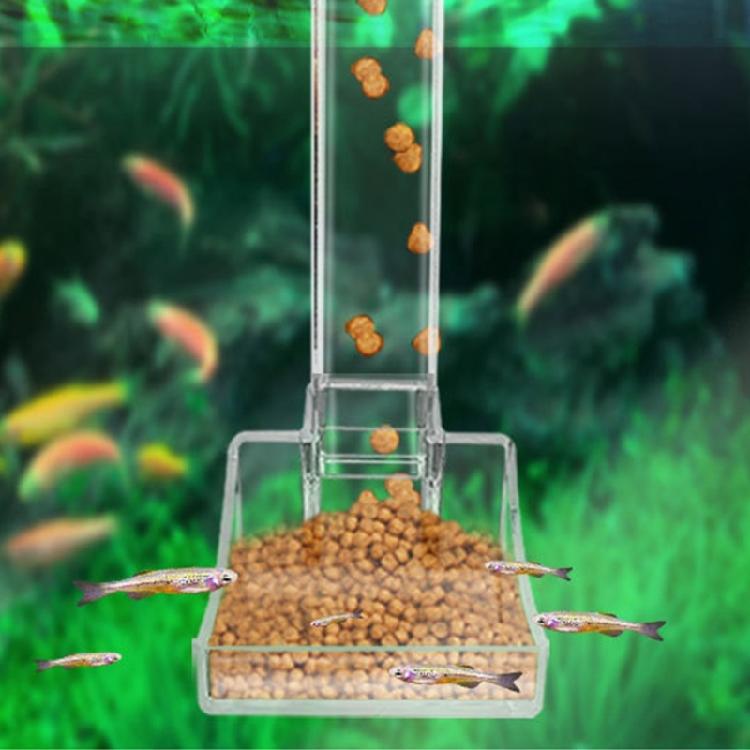 Acrylic Shrimp and Snails Feeding Dish for Aquarium Shrimp for Tank Crystal Pot