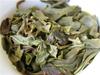 Premium Raw Puer Tea Yunnan Green Pu'er Tea  Puerh Tuo Cha Pu erh Old Tree 100g