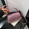 2025 Winter New Trend Portable Small Square Bag Women's Light Luxury Fashion Simple Casual Shoulder Messenger Women's Bag