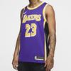 Nike NBA Lakers LeBron James 23 Fan Edition Pullover Crew Neck Jersey Men Sportswear Purple AA7097-514