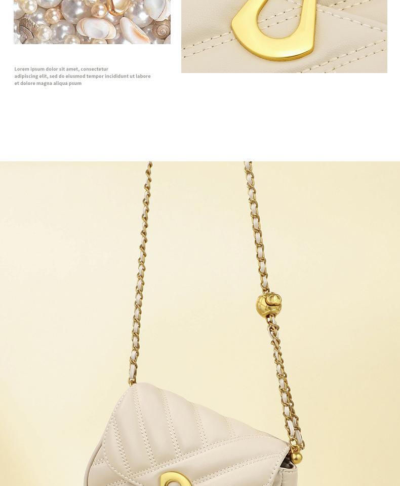 Women's Summer Crossbody Chain Bag: Small, Versatile, Light Luxury Shoulder Bag for Commuting