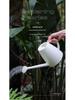 Long-Spout Watering Can and Spray - Household Gardening Tool