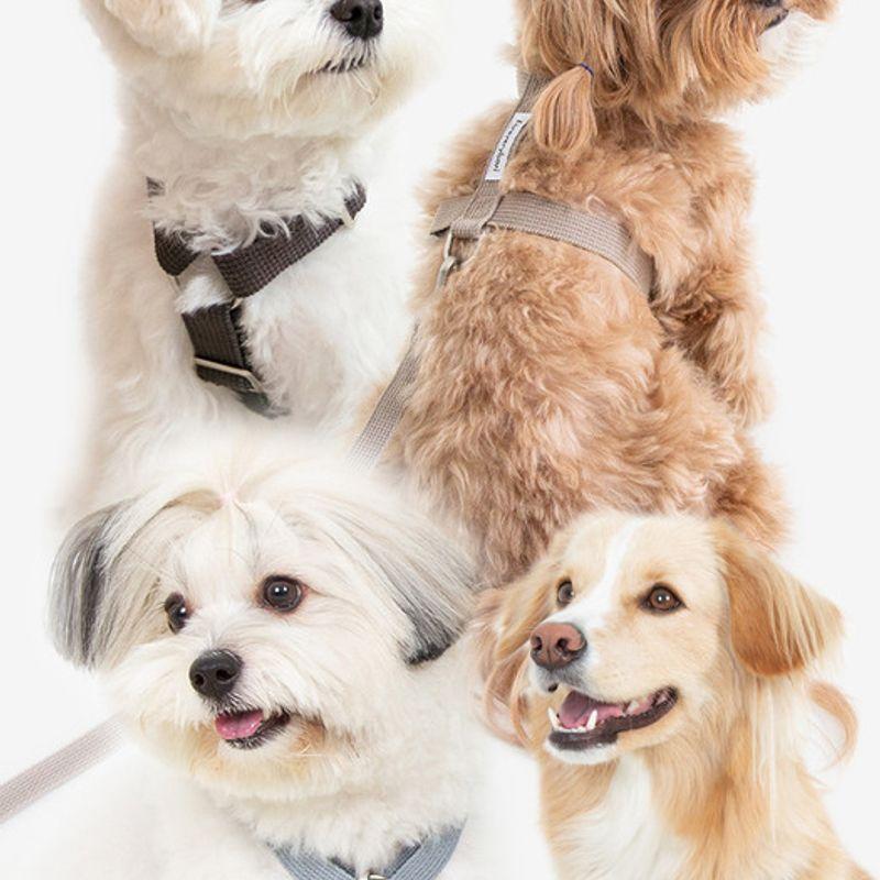 Foreverybari Geschirrset (schwarz)