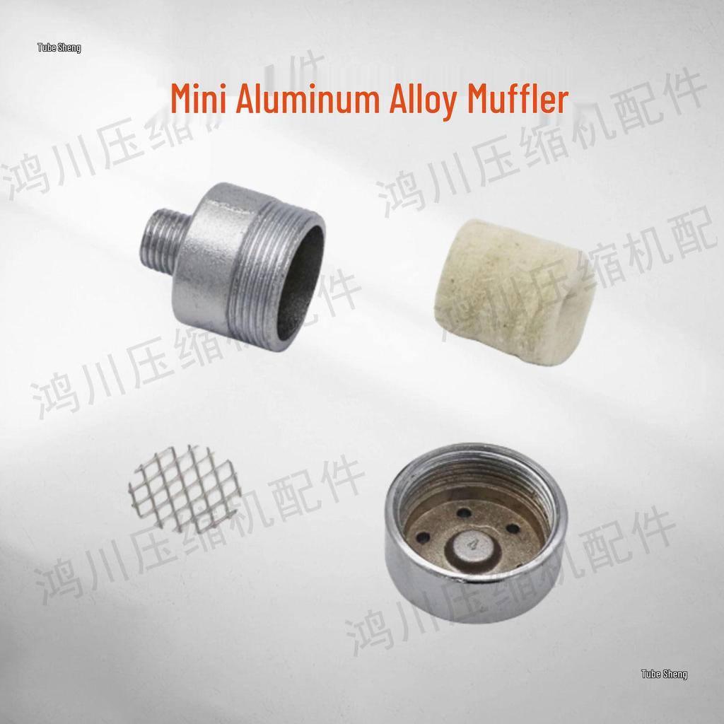 Oil-Free Air Compressor Kit: Direct-Coupled Pump, Silencer Muffler, Air Filter & Element.