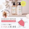 [Old Product] DROAS | Shampoo and Treatment Set Damage Repair