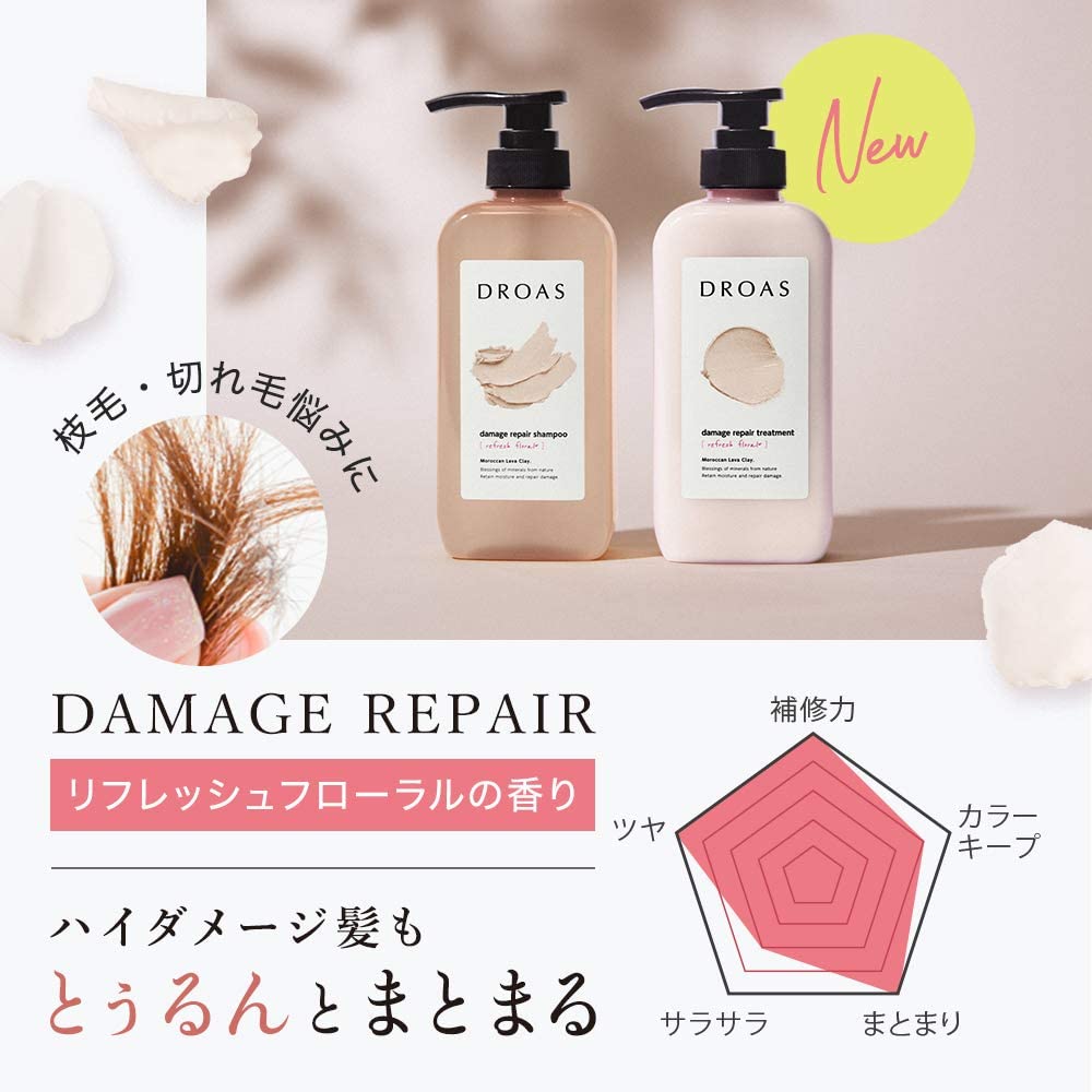 [Old Product] DROAS | Shampoo and Treatment Set Damage Repair