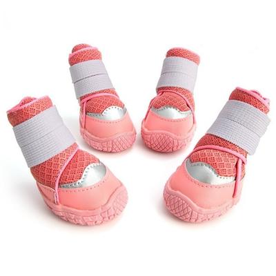 Vêtements et chaussures – Chaussures pour chien