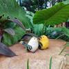 Kreative Harz-Kleintier-Gartendekorationen: Dekorative Vogel-Handarbeiten für den Hof