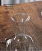 Zen Transparent Glass Vase for Hydroponic Plants and Small Mouth Flower Arrangements