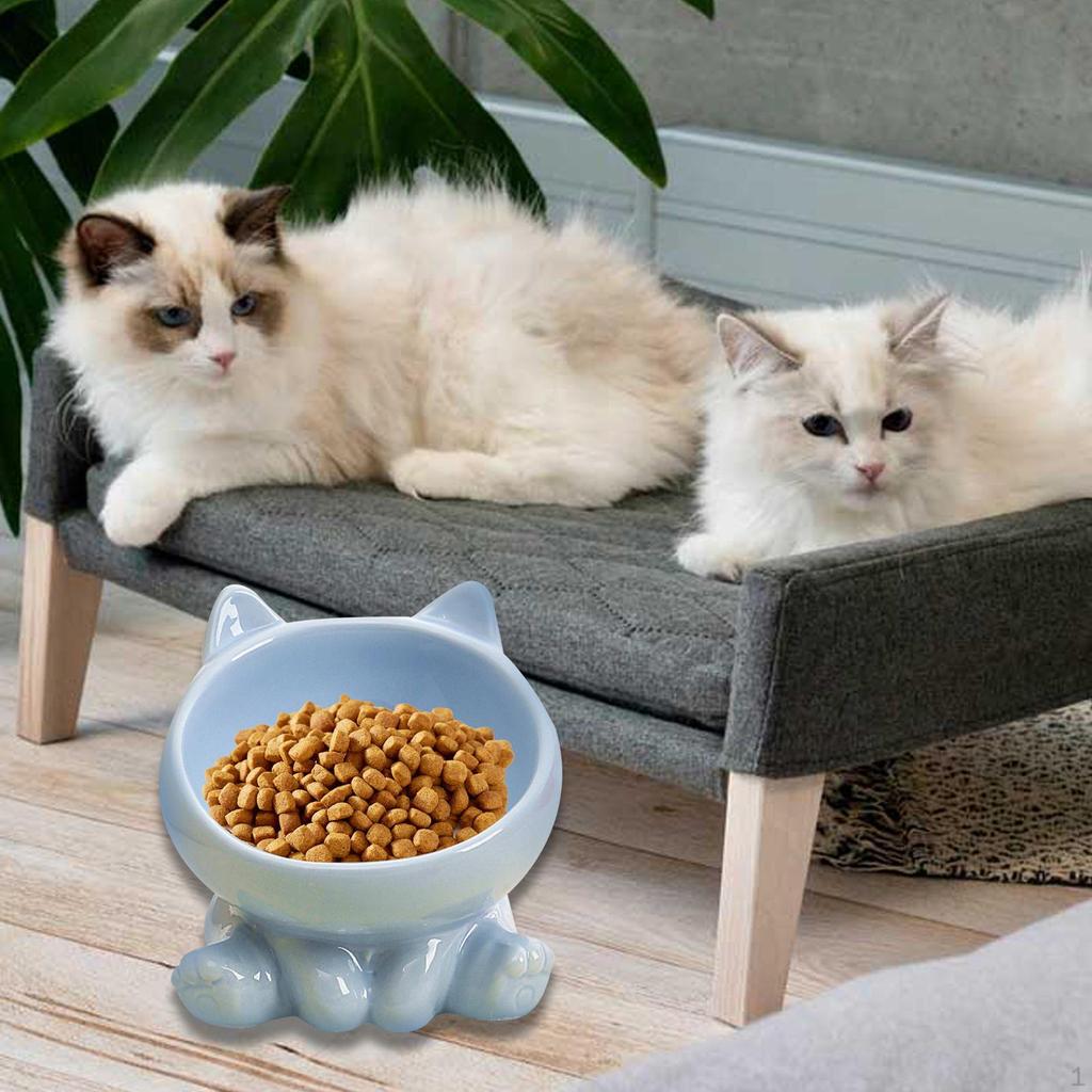 Ceramic Cat Feeder Bowl Dish Food and Water Raised Kitten for Dry Wet