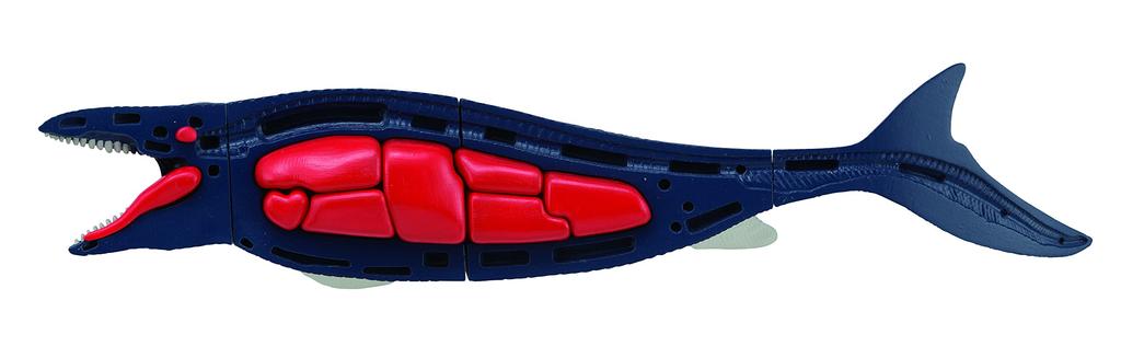 MegaHouse Disassembly Puzzle Science Mosasaurus Reconstruction Puzzle