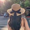 Wide-brimmed Straw Hat with Ties for Women, Korean Style, Summer Hollow Breathable Straw Hat, Beach Vacation Sunshade Fisherman Hat