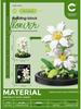 Chao Le Chuang Immortal Flower Building Blocks: Educational Toy & Decorative Bouquet Gift