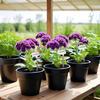 Étiquettes de Plantes en Acier Inoxydable Résistantes aux Intempéries Avec Stylo Marqueur Inclus Pour Marqueurs de Jardinage Résistants aux Intempéries Pack de 10