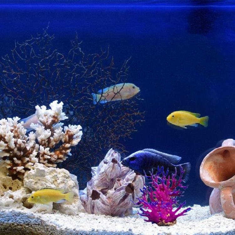 Artificial Coral Colorful Tree for Fish Tanks Aquarium Terrarium Landscaping