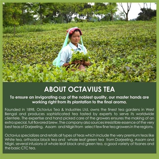 Octavius Nilgiri High Grown Whole Leaf South Indian Orthodox Black Tea | Medium-Bodied Smooth Mellow Taste| 100 Grams (50 Cups)