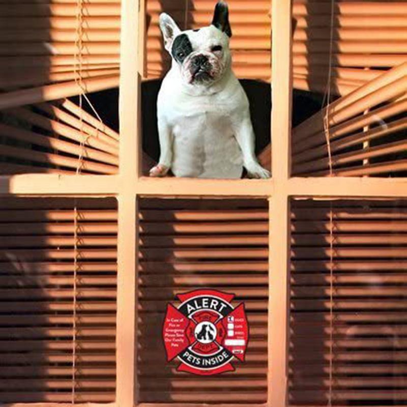 Pet Alert Safety Fire Rescue Sticker Save Pets Emergency Pet Inside Decal In Case Of Danger Pet In House Window Door Sign