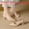 Elegant Pu Pointed Toe Loafers For Women With Chunky Heel For Daily Wear