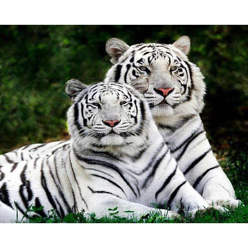 5d DIY Diamond Painting Tiger Animal Full Round Diamond Mosaic For Adults Handicraft Kits Wall Art Home Decoration