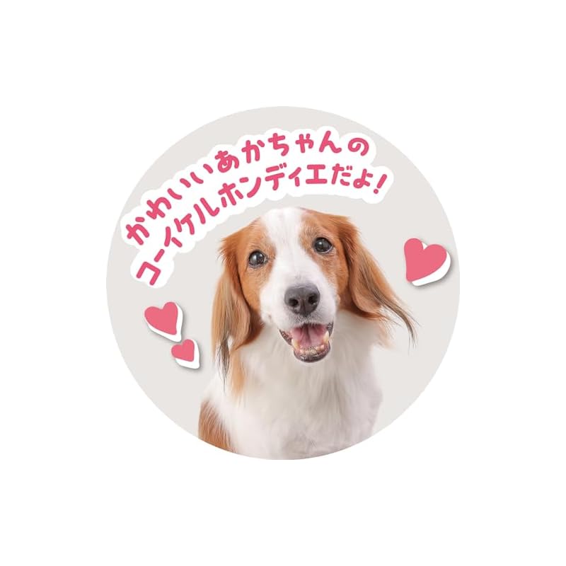 IWAYA Electric Animal Dog Plush Toy: Walks with a Wagging Tail, Lies Down and Barks. Piccoline Kooikerhondjem (ST Mark Certified). Suitable for Ages 3