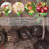 Plant Rooting Ball Grafting Rooting Box Breeding Case High Pressure Plant Root Growing Box for Garden Planting Supply