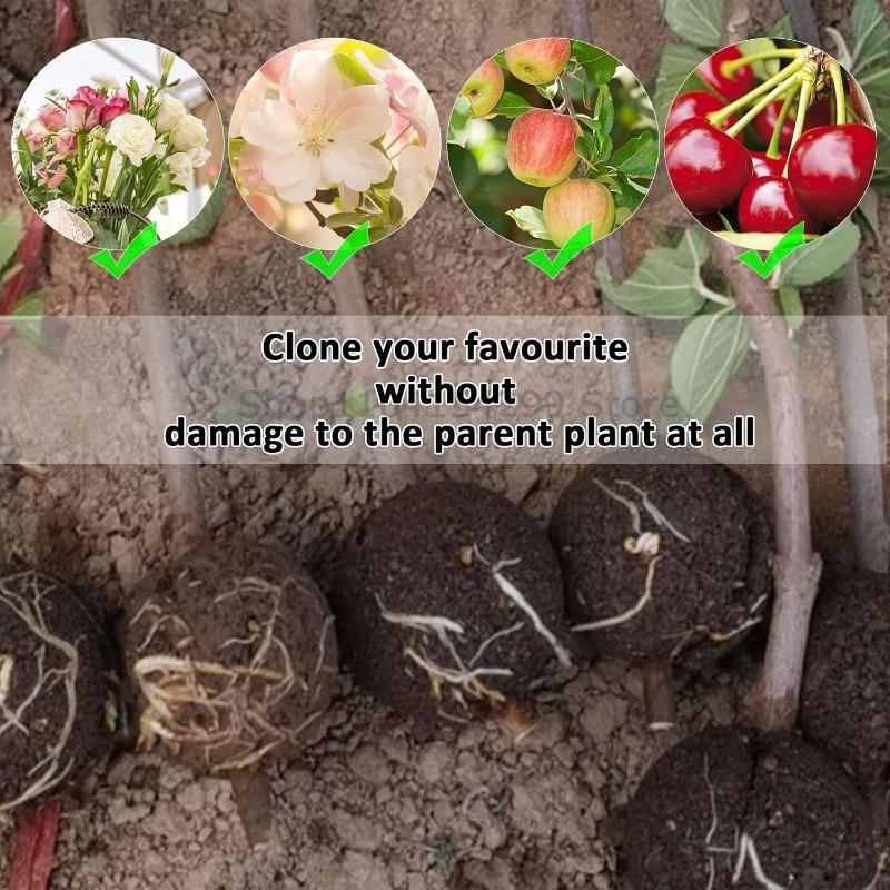 Plant Rooting Ball Grafting Rooting Box Breeding Case High Pressure Plant Root Growing Box for Garden Planting Supply