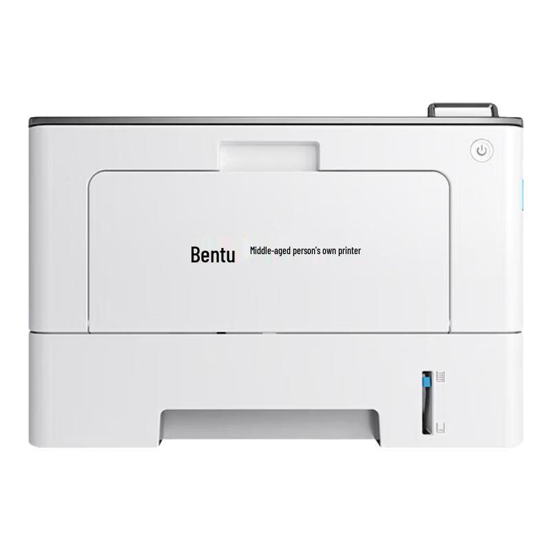 Pantum A4 Laser Printers CN plug (adapter included)