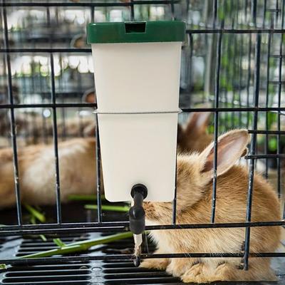 Prodotti per animali – Roditori