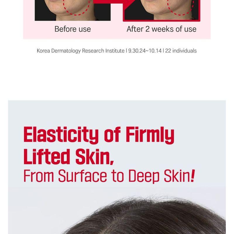 ROUND LAB - Camellia Deep Collagen Firming Cream