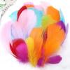 50PCS Colorful Natural Goose Feathers Natural Feather Colored Feathers  DIY Home Crafts
