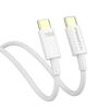 PISEN 100W Dual USB-C PD Fast Charging Cable for Apple 15 & Notebooks