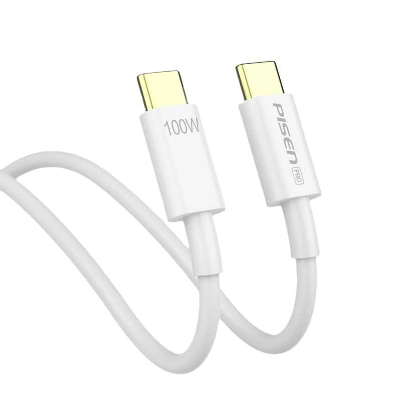 PISEN 100W Dual USB-C PD Fast Charging Cable for Apple 15 & Notebooks
