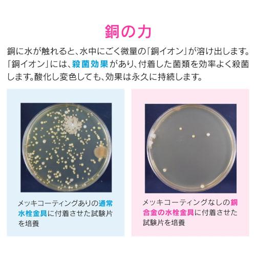 Gaona Sink Drain Replacement Set for 8cm Sinks, Antibacterial Copper Cover, Garbage Disposal, Suitable for Rentals and Mini Kitchens (GA-PB046)