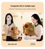 Capybara Plush Toy Doll - Cartoon Throw Pillow & Stuffed Animal Birthday Gift