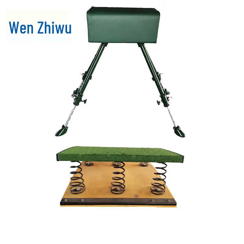 Gymnastics Training Pommel Horse & Springboard Set