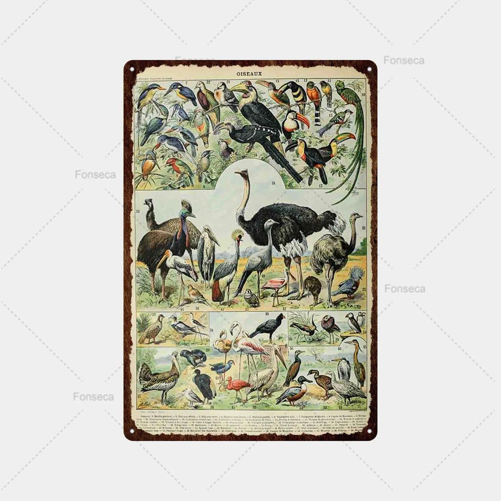 Ryby, ryby, květiny Odrůda Cedule Plechový cedule Vintage plechová cedule Bar Vintage Wall Decor Bar Club Man Cave Kovový plakát