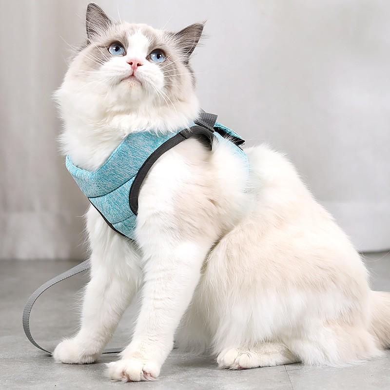 Сверхлегкая и удобная кошачья шлейка с поводком L (Chest 33-38 cm, 9-12 lbs) светло-зеленый